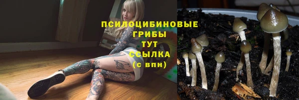 амф Балабаново