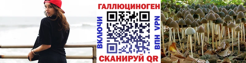 купить наркоту  Ядрин  Галлюциногенные грибы GOLDEN TEACHER 